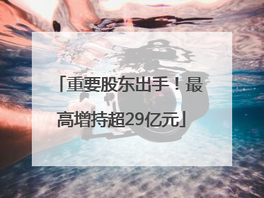 重要股东出手！最高增持超29亿元