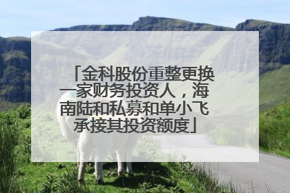 金科股份重整更换一家财务投资人，海南陆和私募和单小飞承接其投资额度