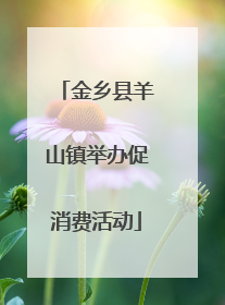 金乡县羊山镇举办促消费活动