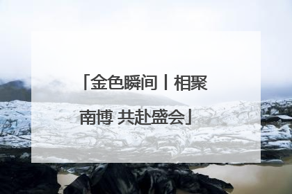 金色瞬间丨相聚南博 共赴盛会