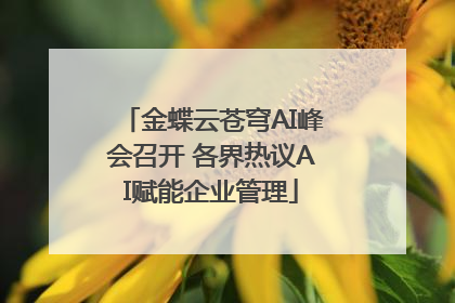 金蝶云苍穹AI峰会召开 各界热议AI赋能企业管理
