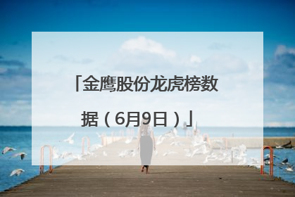 金鹰股份龙虎榜数据（6月9日）