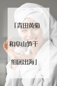 青田黄菊和阜山笋干组团出海