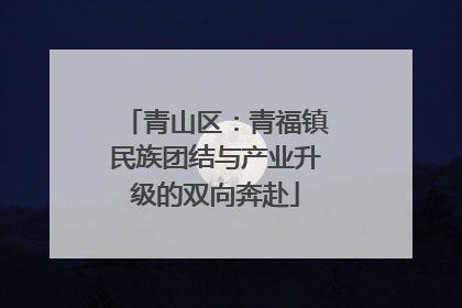 青山区：青福镇民族团结与产业升级的双向奔赴