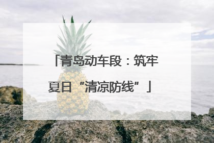青岛动车段：筑牢夏日“清凉防线”