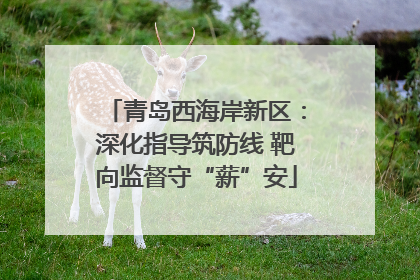 青岛西海岸新区：深化指导筑防线 靶向监督守“薪”安