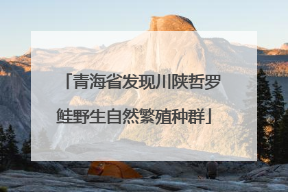 青海省发现川陕哲罗鲑野生自然繁殖种群