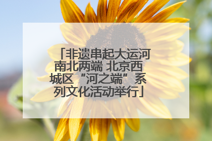 非遗串起大运河南北两端 北京西城区“河之端”系列文化活动举行
