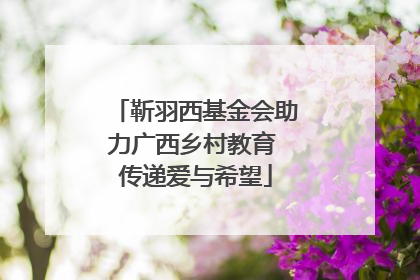 靳羽西基金会助力广西乡村教育 传递爱与希望