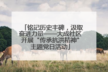 铭记历史丰碑，汲取奋进力量——大成社区开展“传承抗洪精神”主题党日活动