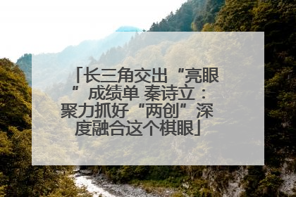长三角交出“亮眼”成绩单 秦诗立：聚力抓好“两创”深度融合这个棋眼