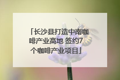 长沙县打造中南咖啡产业高地 签约7个咖啡产业项目
