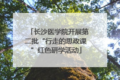 长沙医学院开展第二批“行走的思政课”红色研学活动