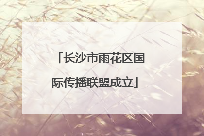 长沙市雨花区国际传播联盟成立