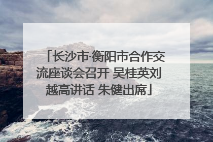 长沙市·衡阳市合作交流座谈会召开 吴桂英刘越高讲话 朱健出席