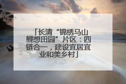 长清“锦绣马山 鲤想田园”片区：四链合一，建设宜居宜业和美乡村