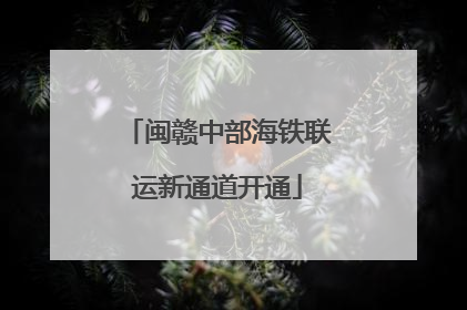 闽赣中部海铁联运新通道开通