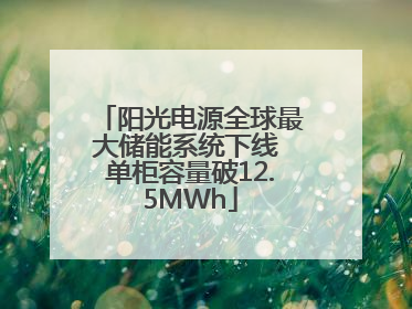 阳光电源全球最大储能系统下线 单柜容量破12.5MWh