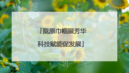 陇原巾帼展芳华 科技赋能促发展