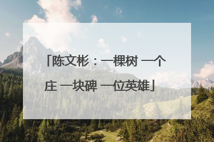 陈文彬：一棵树 一个庄 一块碑 一位英雄