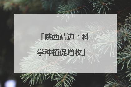 陕西靖边：科学种植促增收