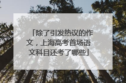 除了引发热议的作文，上海高考首场语文科目还考了哪些
