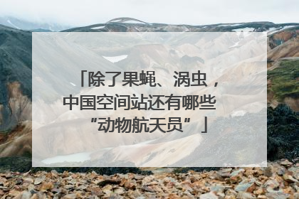 除了果蝇、涡虫，中国空间站还有哪些“动物航天员”
