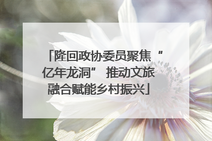 隆回政协委员聚焦“亿年龙洞” 推动文旅融合赋能乡村振兴