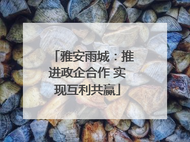 雅安雨城：推进政企合作 实现互利共赢
