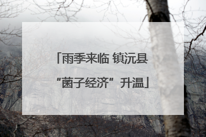 雨季来临 镇沅县“菌子经济”升温