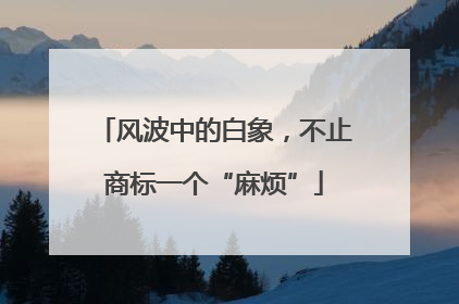 风波中的白象，不止商标一个“麻烦”