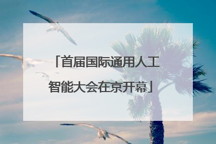 首届国际通用人工智能大会在京开幕