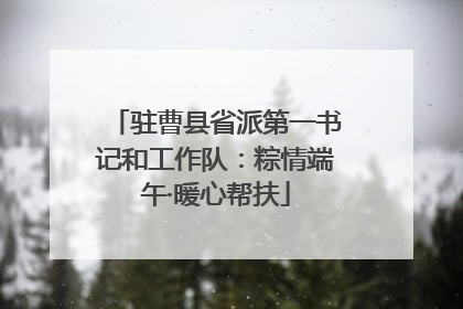 驻曹县省派第一书记和工作队：粽情端午·暖心帮扶