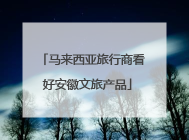 马来西亚旅行商看好安徽文旅产品