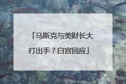 马斯克与美财长大打出手？白宫回应