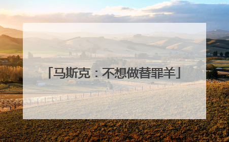 马斯克：不想做替罪羊