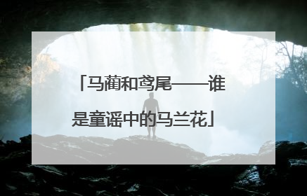 马蔺和鸢尾——谁是童谣中的马兰花