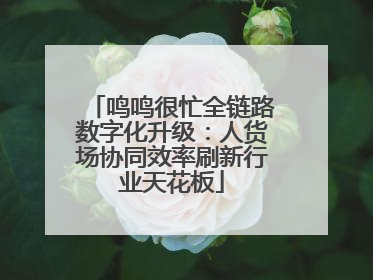 鸣鸣很忙全链路数字化升级：人货场协同效率刷新行业天花板