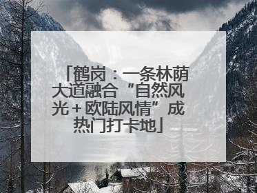 鹤岗：一条林荫大道融合“自然风光＋欧陆风情”成热门打卡地