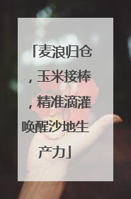麦浪归仓，玉米接棒，精准滴灌唤醒沙地生产力