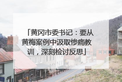 黄冈市委书记：要从黄梅案例中汲取惨痛教训，深刻检讨反思