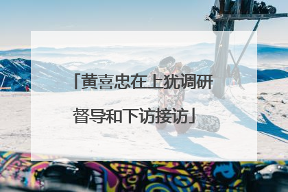 黄喜忠在上犹调研督导和下访接访