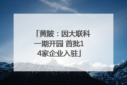 黄陂：因大联科一期开园 首批14家企业入驻
