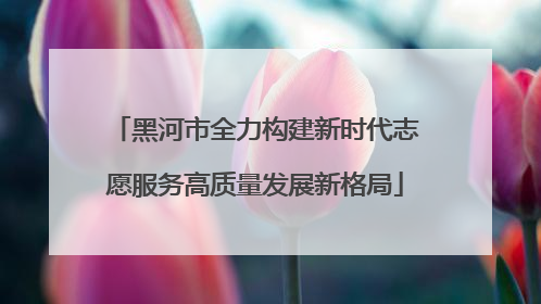 黑河市全力构建新时代志愿服务高质量发展新格局