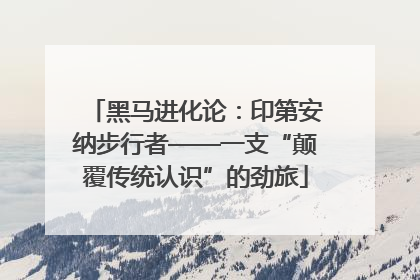 黑马进化论：印第安纳步行者——一支“颠覆传统认识”的劲旅