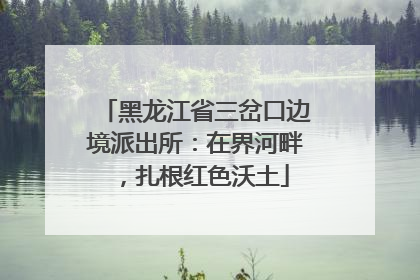 黑龙江省三岔口边境派出所：在界河畔，扎根红色沃土