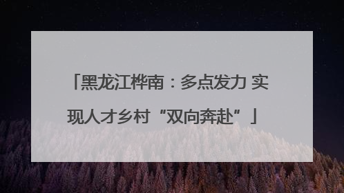 黑龙江桦南：多点发力 实现人才乡村“双向奔赴”