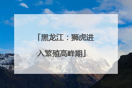 黑龙江：狮虎进入繁殖高峰期