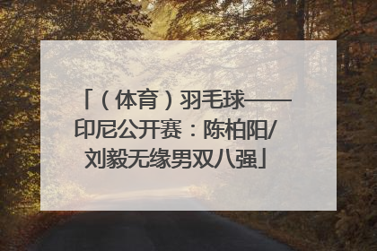 （体育）羽毛球——印尼公开赛：陈柏阳/刘毅无缘男双八强