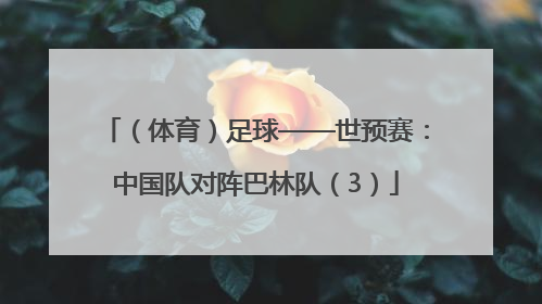（体育）足球——世预赛：中国队对阵巴林队（3）